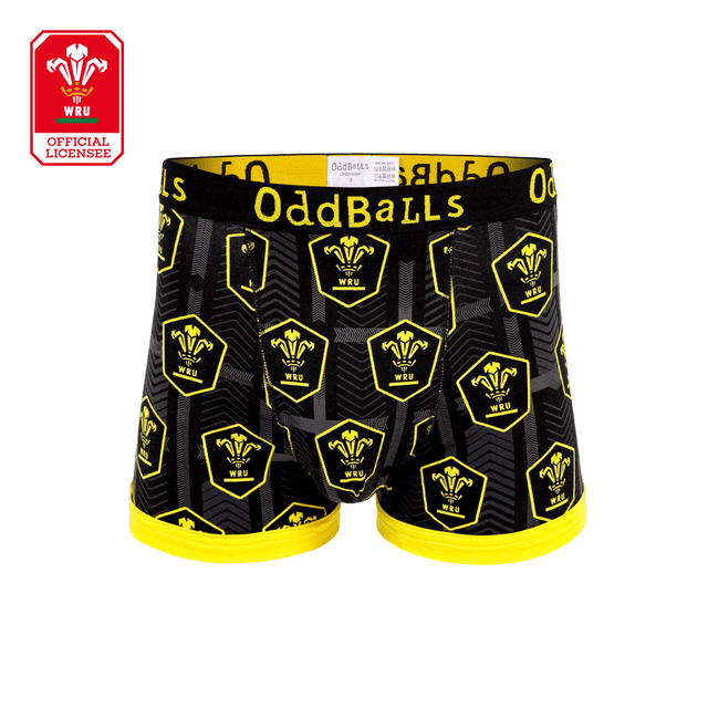 Welsh Rugby Union - Alternate - Teen Boys Boxer Briefs