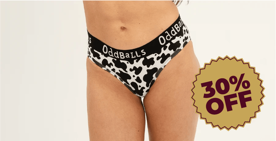 Briefs