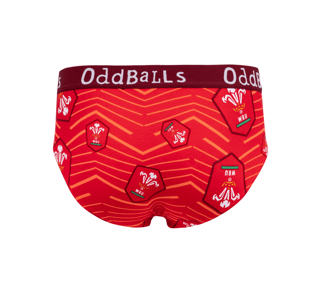 Welsh Rugby Union Home Mens Briefs