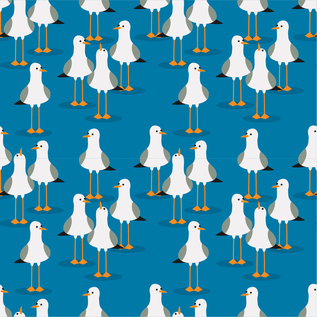 Seagulls