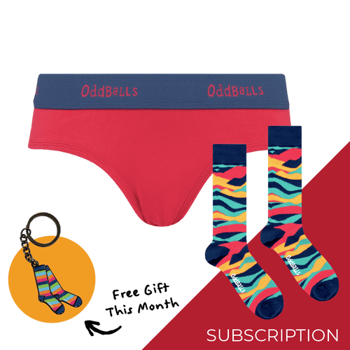 Women's Plain Brief Knickers Subscription - 12 Months Prepaid (Free Socks + Free Delivery!)