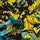 Batman Gotham - Mens Bamboo Boxer Shorts