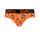 Cincinnati Bengals - Ladies Briefs