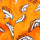 Denver Broncos - Ladies Briefs