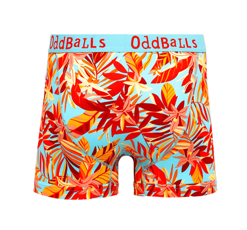 Calypso - Mens Cotton Boxer Shorts