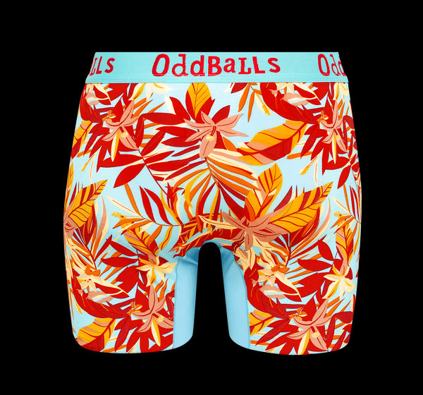 Bargain Bums Bundle - Ladies Bamboo Boxer Shorts 5 Pack