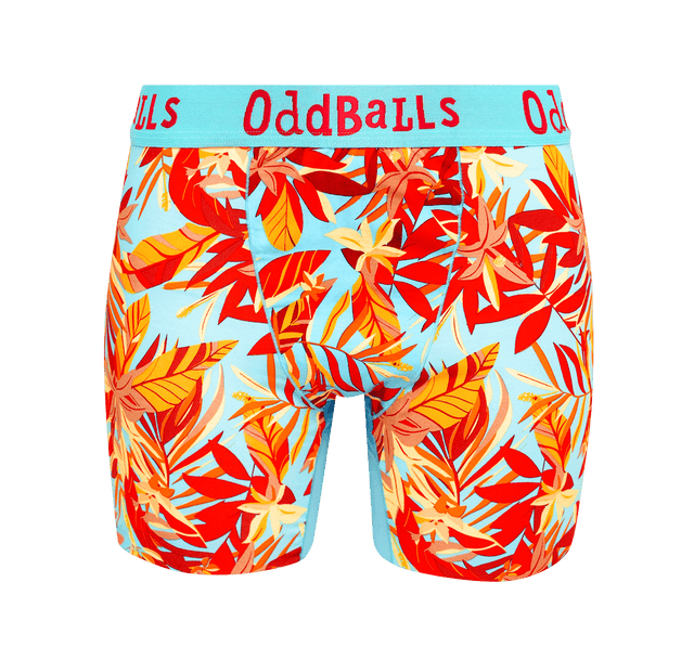 Calypso - Ladies Bamboo Boxer Shorts