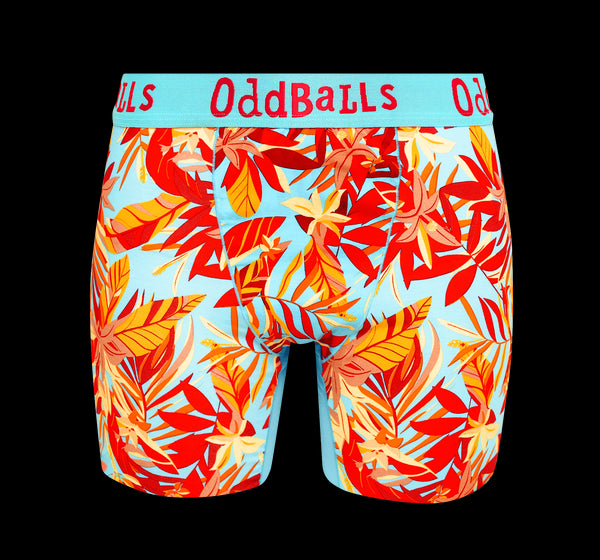 Bargain Bums Bundle - Ladies Bamboo Boxer Shorts 5 Pack