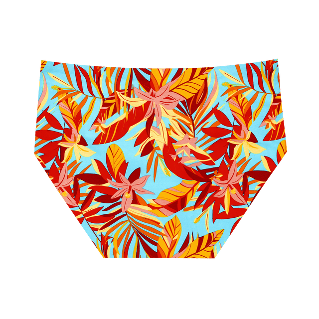 Calypso - Seamless Full Briefs