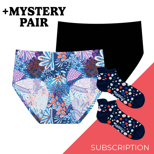 Women's Full Seamless Briefs Subscription - Monthly (Free Socks + Free Delivery!)
