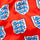 England FA 1966 - Ladies Boxers