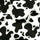 Cow Print - Girls Cotton Knickers