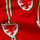 FA Wales Red & Green - Ladies Thong