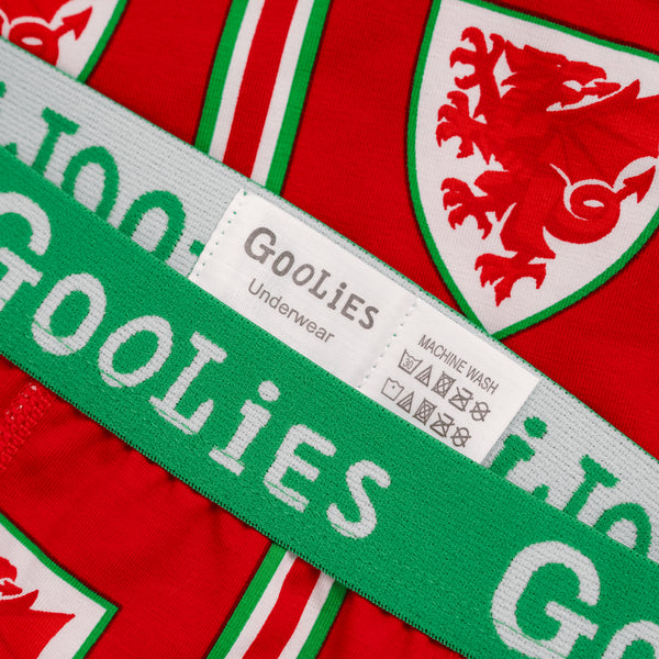 FA Wales Red & Green - Kids Boxer Shorts