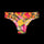 Hibiscus - Seamless Brazilian Briefs