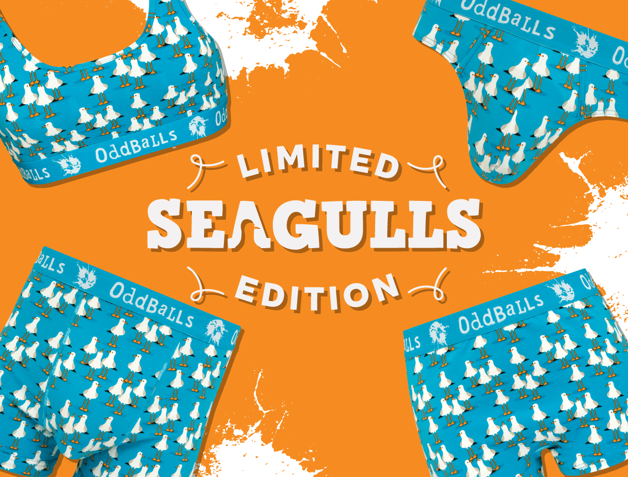 Seagulls