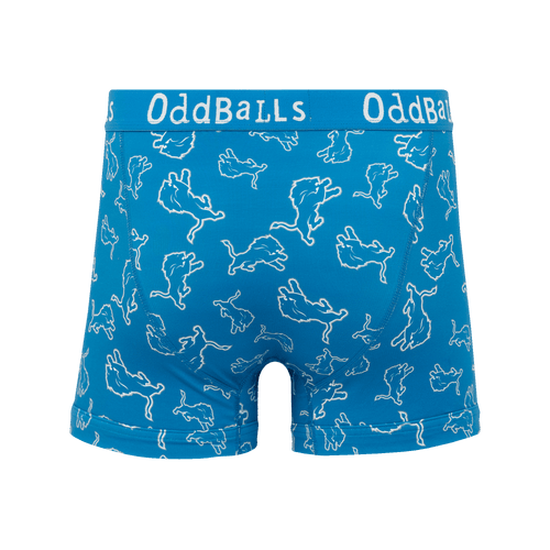 Detroit Lions - Mens Boxer Shorts