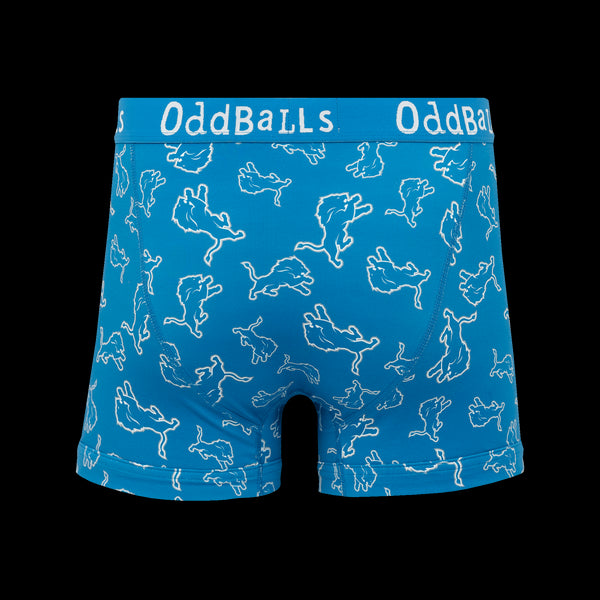Detroit Lions - Mens Boxer Shorts