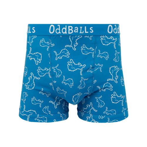 Detroit Lions - Mens Boxer Shorts