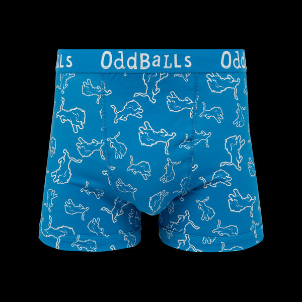 Detroit Lions - Mens Boxer Shorts