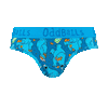 Cookie Monster - Ladies Briefs