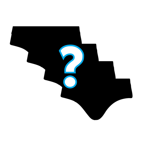 Ladies Brief Bundle - 4 Pack Mystery Bundle