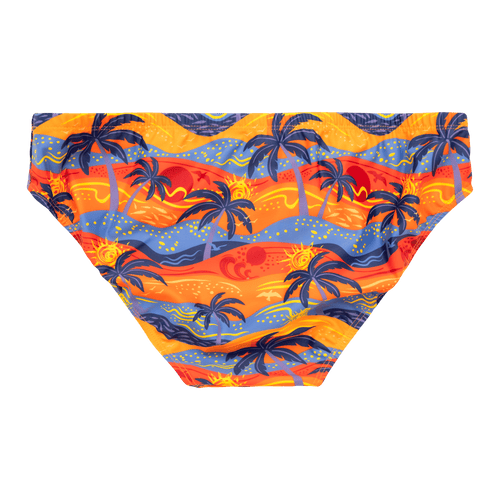 Oasis - Swimming Briefs