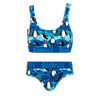 Penguins Bundle - Womens Bralette & Briefs Matching Set front