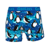 Penguins - Kids Boxer Shorts