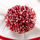 England Rugby Union Home 26/27 - Bobble Hat - Bobble Detail