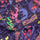 Scooby-Doo™ Jeepers - Kids Boxer Shorts