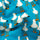 Seagulls - Ladies Briefs