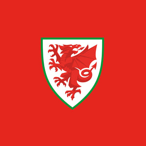 Welsh FA