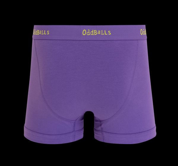 Sugar Plums - Mens Cotton Boxer Shorts