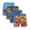 Summer of 26 Bundle - Kids Boxer Shorts 4 Pack back