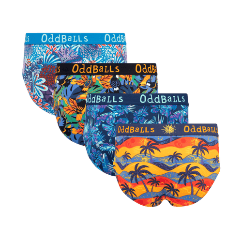 Summer of 26 Bundle - Mens Cotton Briefs 4 Pack