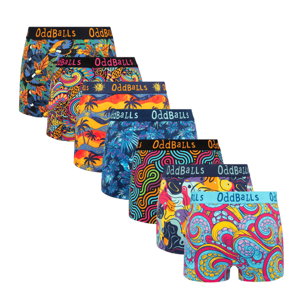 Suns Out Bums Out Bundle - Ladies Cotton Boxer Shorts 7 Pack back