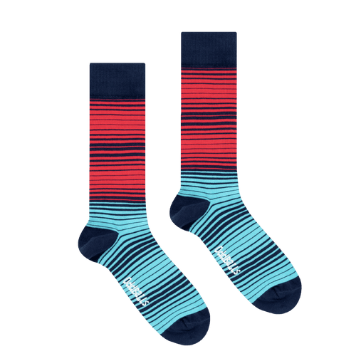 Navy Cyan Magenta - Socks