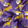 Minnesota Vikings - Mens Boxer Shorts