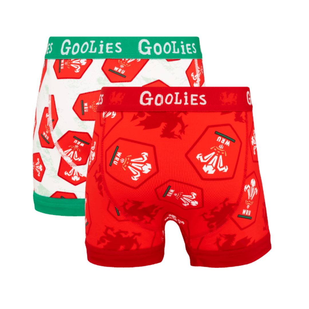 Welsh Rugby Union 26 Bundle - Kids Cotton Boxer Shorts 2 Pack back