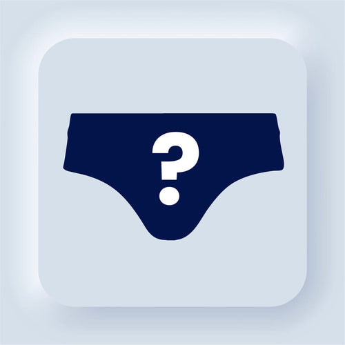 Ladies Brief Bundle - 4 Pack Mystery Bundle
