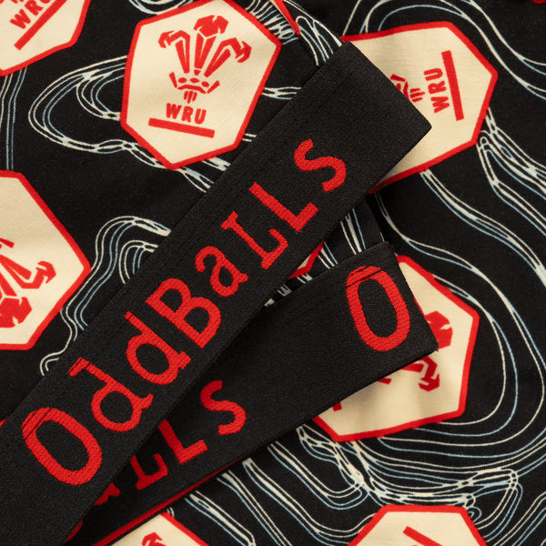 Welsh Rugby Union Alternate 25 - Ladies Bralette