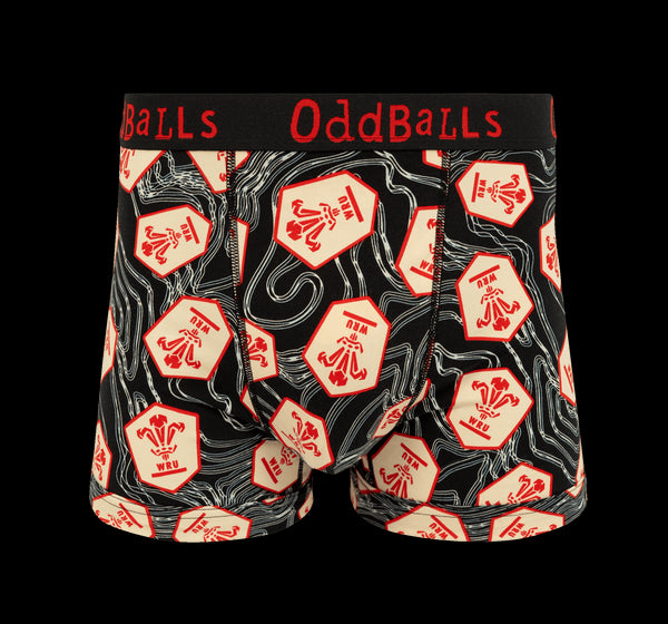 Welsh Rugby Union 25 Bundle - Mens Boxer Shorts 2 Pack