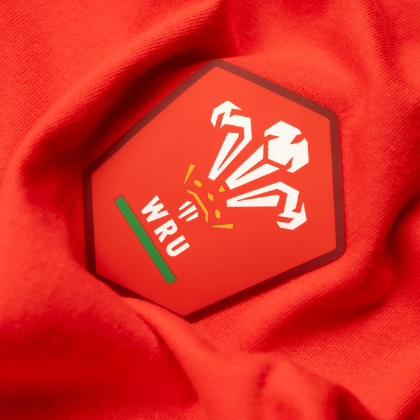 Welsh Rugby Union Home 25 - Women's Long Pyjamas Set (T-Shirt & Trousers)