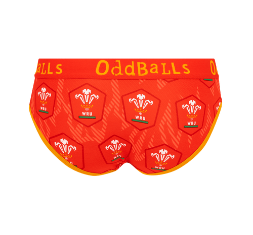 Welsh Rugby Union Flames - Ladies Briefs