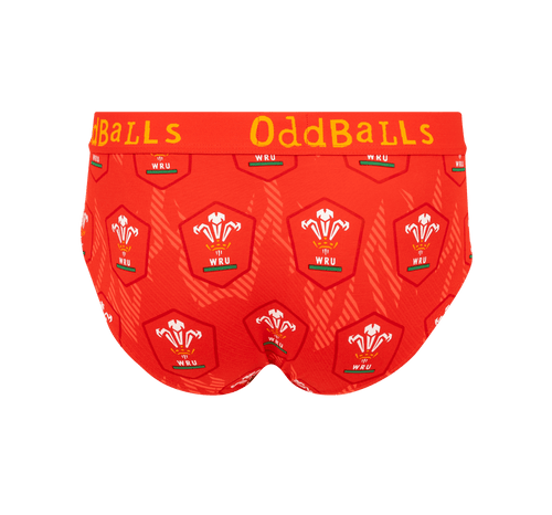Welsh Rugby Union Flames - Mens Briefs
