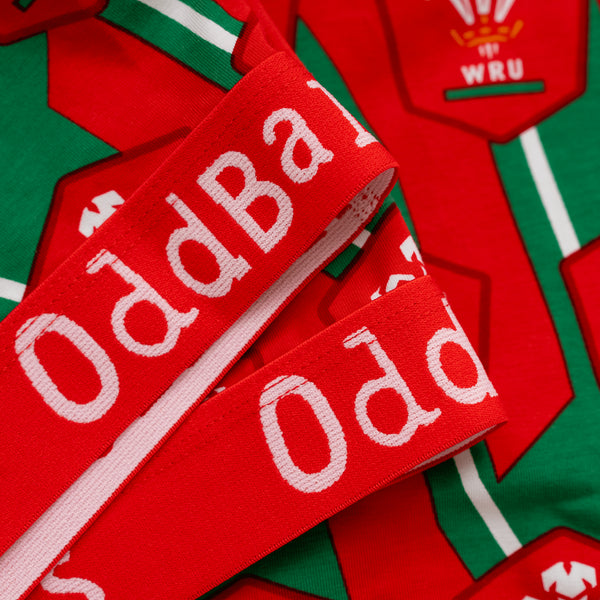 Welsh Rugby Union Alternate - Ladies Bralette