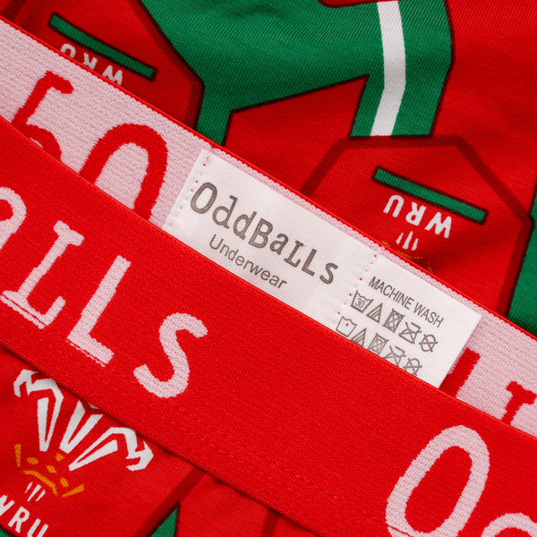 Welsh Rugby Union Alternate - Ladies Boxers
