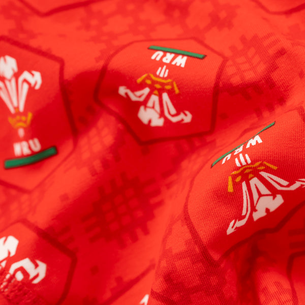 Welsh Rugby Union Home 25 - Mens Boxer Shorts