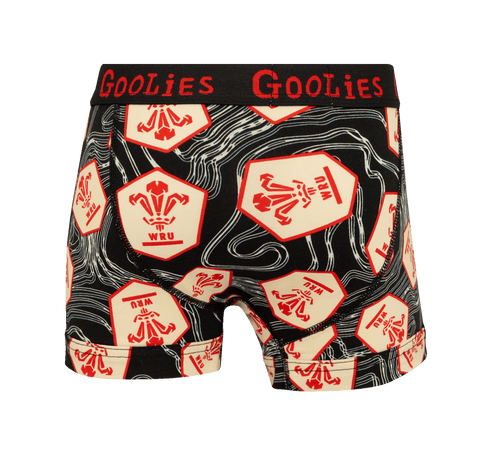 Welsh Rugby Union Alternate 25 - Kids Boxer Shorts - Goolie